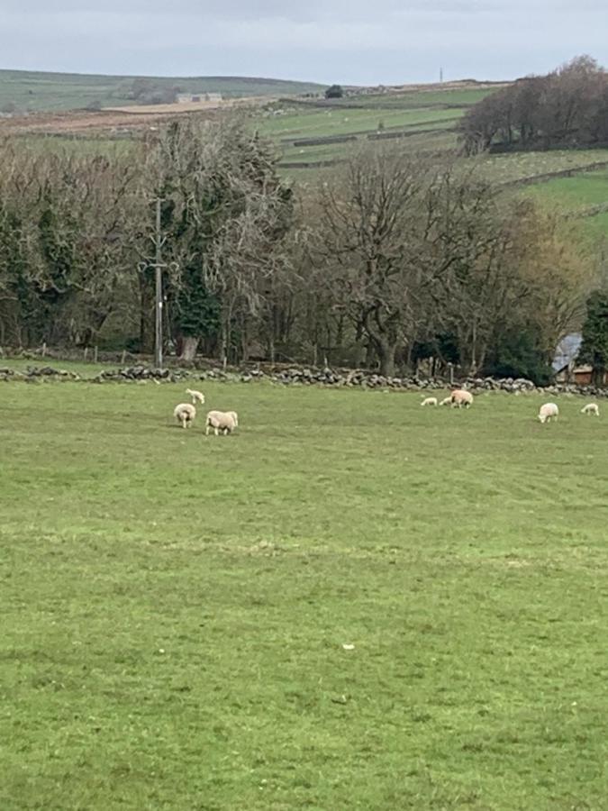 Church Gate Farm 해러게이트 외부 사진